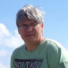 WordPress Developer